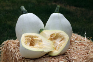 Two white squash with two white squash halves resting on a bale of straw