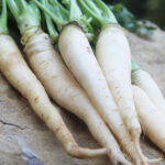 A pile of long, white carrots with green stems on a rock surface