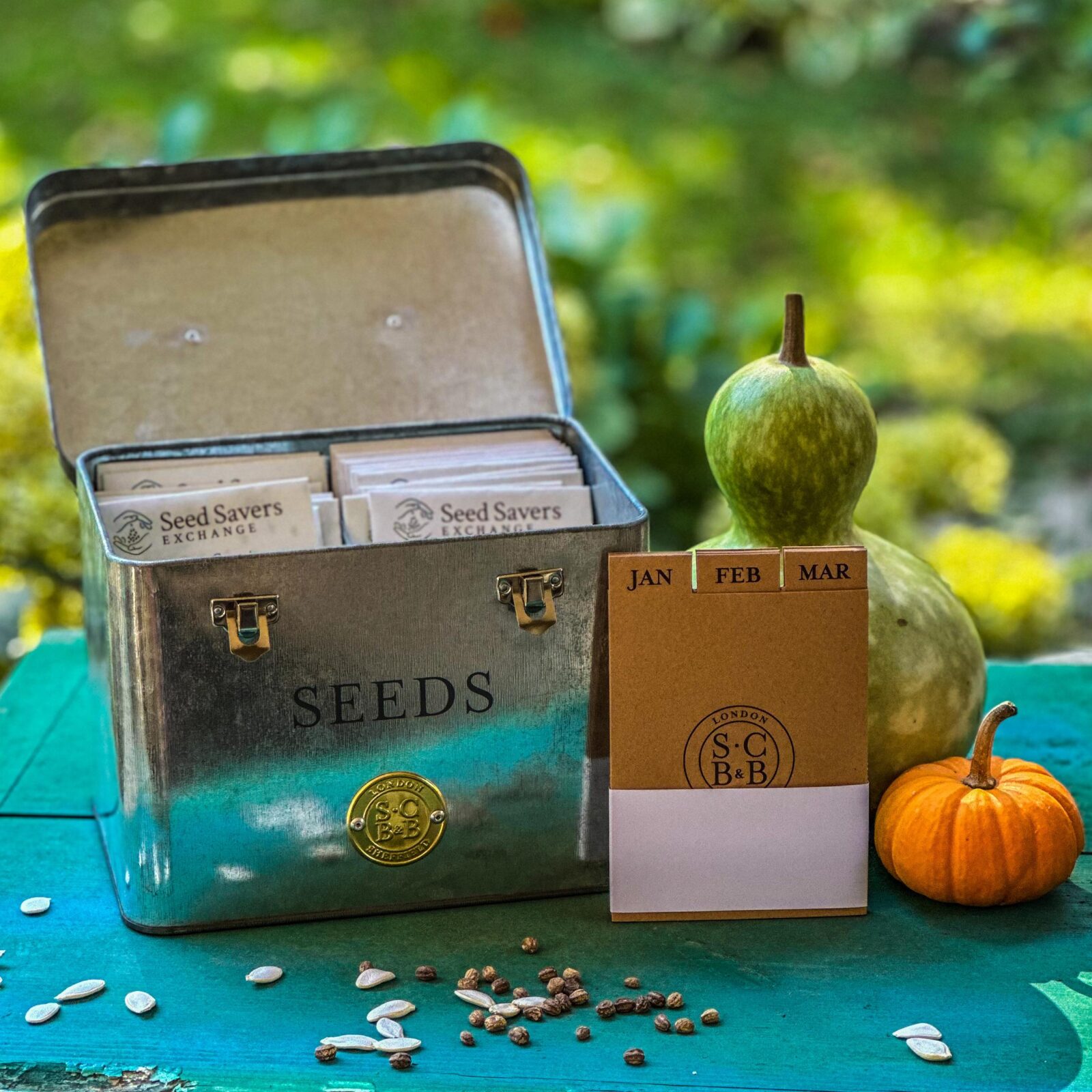 A metal storage tin holding seed packets sits outdoors on a blue tablecloth next to a small calendar, a green gourd, and small pumpkins. Various seeds are scattered on the table.