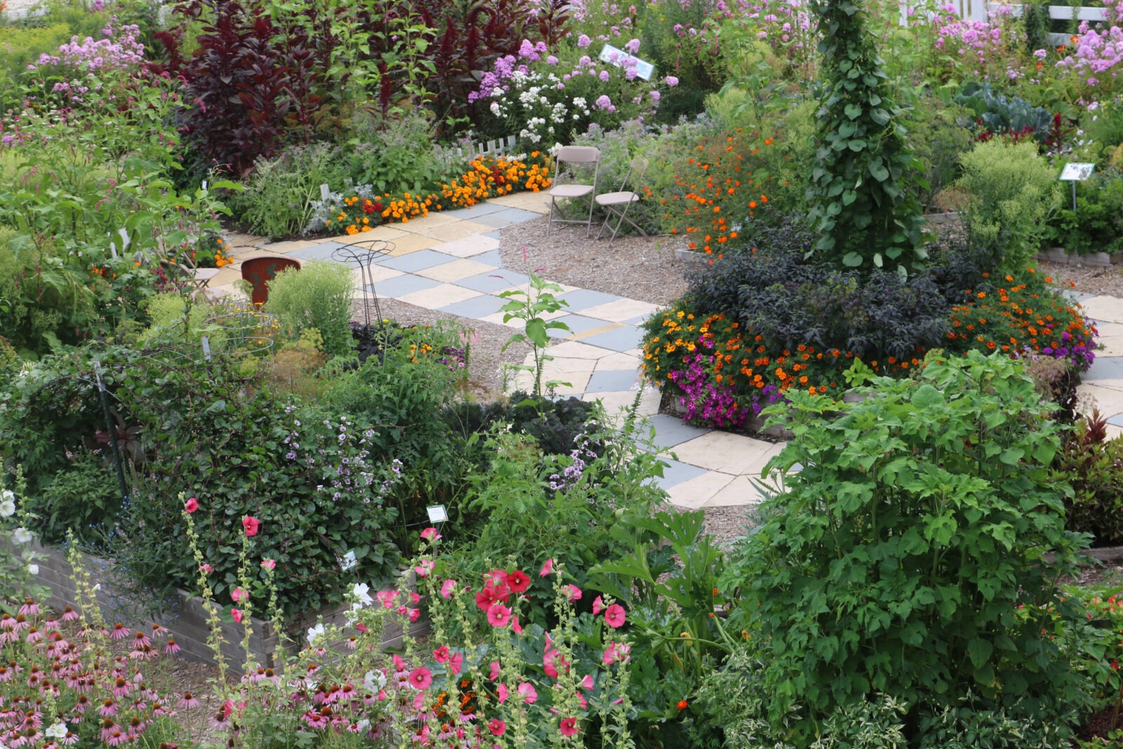 A beautiful garden with many varieties of vegetables and flowers