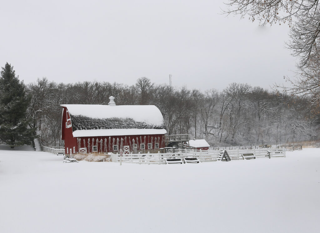A snow-covered landscape with a red barn and a woods in the background
