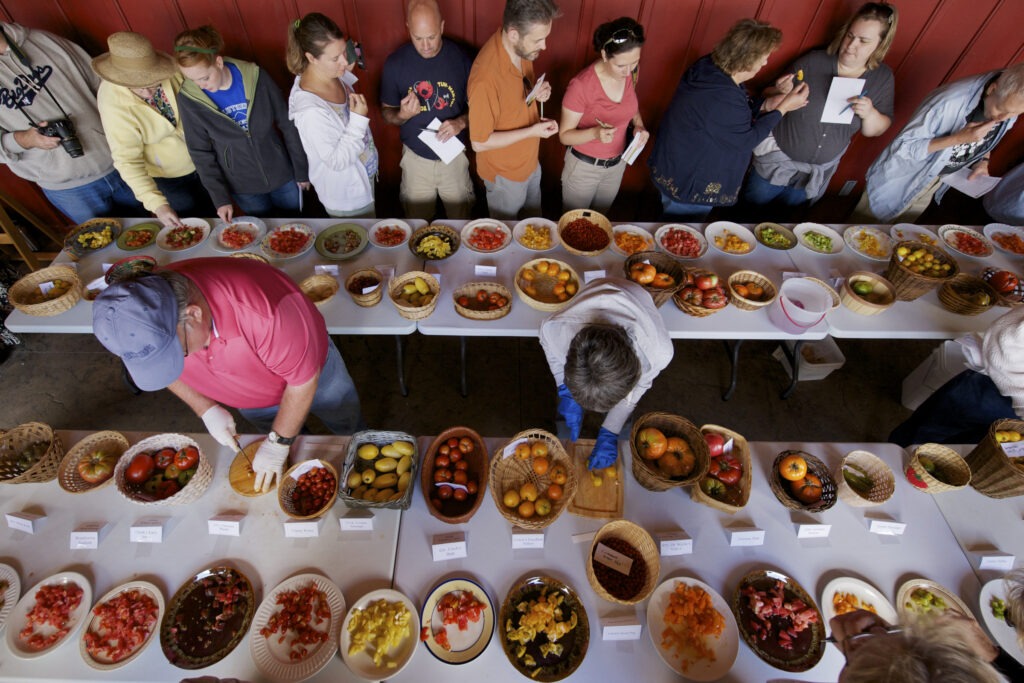 An ariel photograph of lines of people next to tables of chopped up tomatoes.