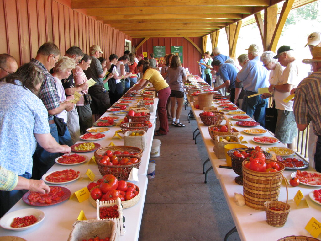 Two tables with plates of chopped tomatoes.