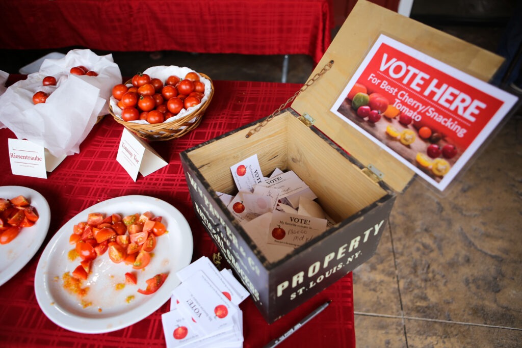 An open box with the words "Vote Here" next to a plate of chopped tomatoes.