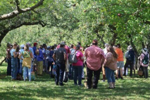 A tour group gather in an apple orchard.