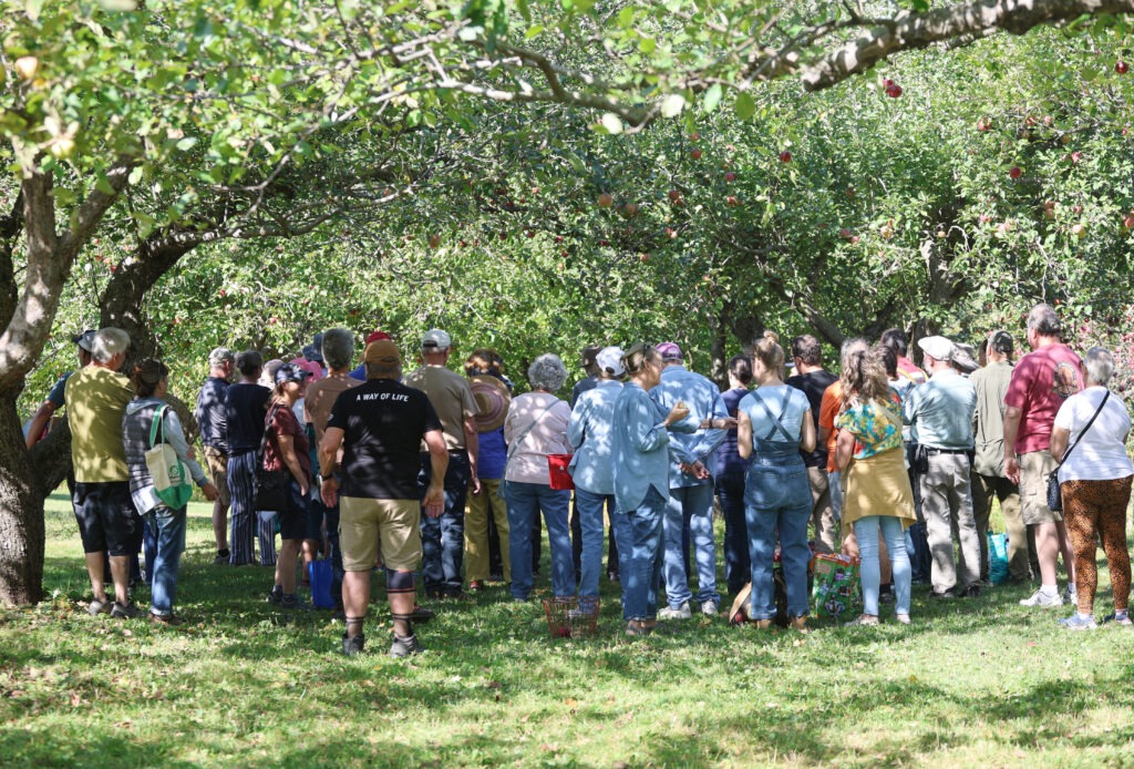 A large tour group gathers in an apple orchard.