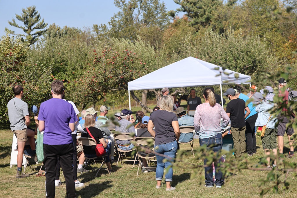 A group of people gather in an apple orchard near a white tent.