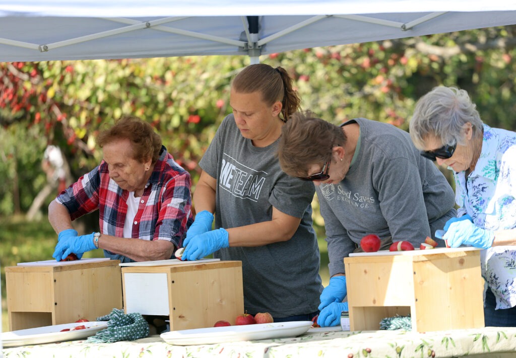 Four women cutting apples.