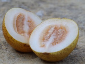 Two yellow melon halves with white flesh and pink seeds sit on a rock surface