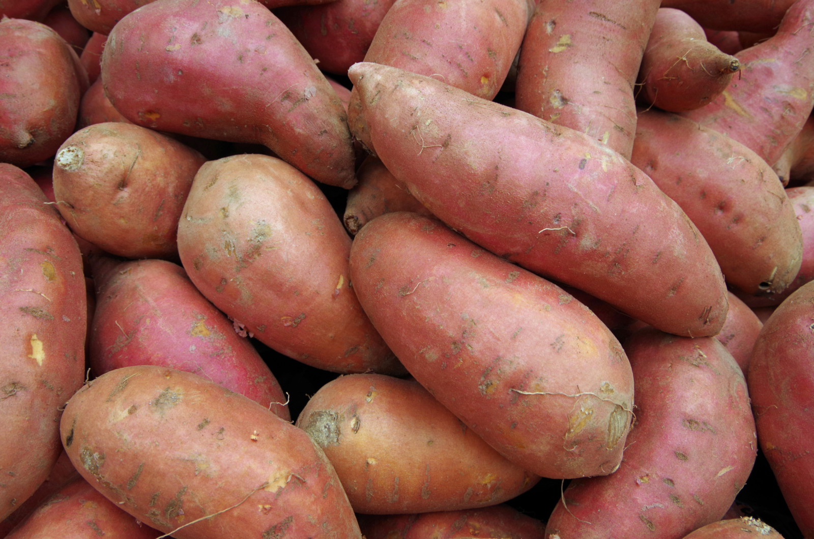 A pile of orange-pink sweet potatoes of various shapes