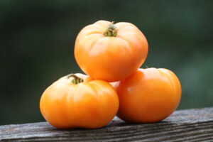 'Oma's Orange' tomatoes stacked