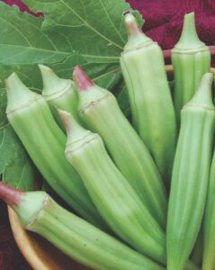 What to plant in your garden in June: 'Clemson Spineless' okra from Seed Savers Exchange