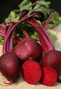 What to plant in your garden in June: 'Detroit Dark Red' beet from Seed Savers Exchange