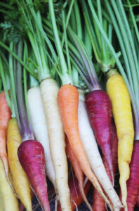 What to plant in your garden in June: 'Rainbow Carrot Mix' from Seed Savers Exchange