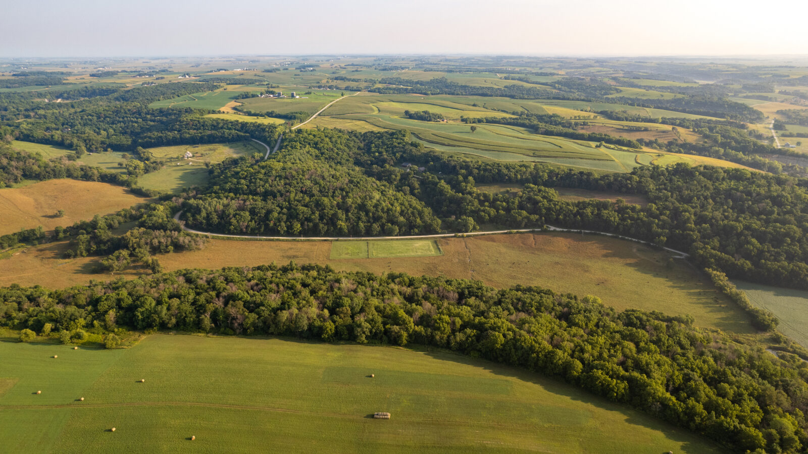 An aerial view of fields and trees