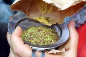 A person sifts corn pollen and anthers from a brown paper tassel bag through a small mesh metal strainer