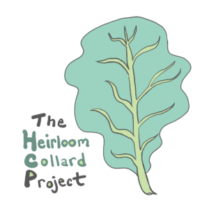 Illustrated collard leaf with the words "The Heirloom Collard Project" to the left.