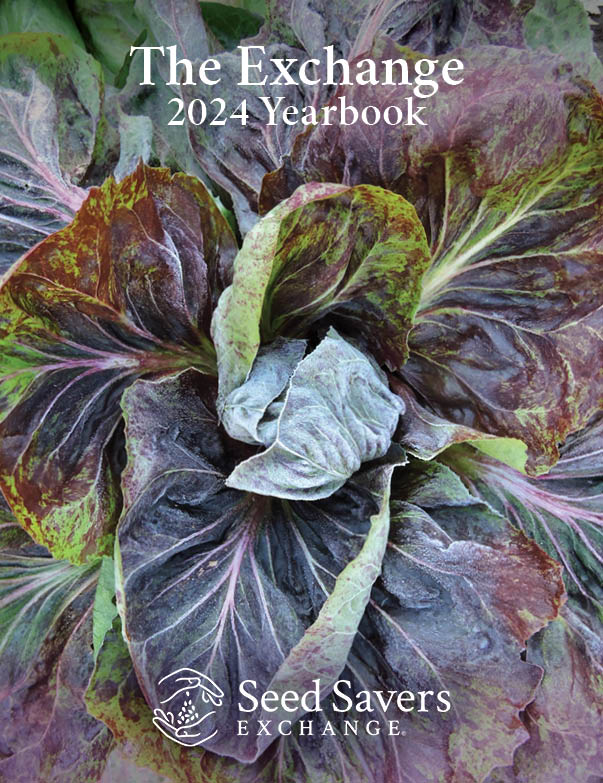 A colorful head of collard with blue, purple, and green leaves with the words The Exchange 2024 Yearbook over it