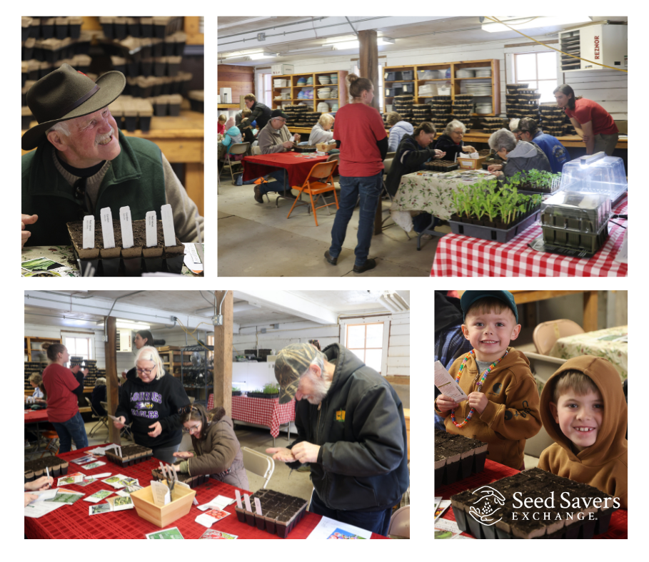 A collage of photos. Upper left a man in a hat sits smiling with seed starting pots in front of him. Clockwise a room of people learning how to start seeds. Two young boys smile to camera after planting seeds in transplant pods. Two older students learning to start seeds.