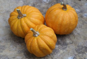 Three small orange pumpkins resting on a countertop