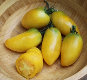 Five yellow, plum-shaped tomatoes in a light-brown bowl, with one sliced tomato at the bottom.