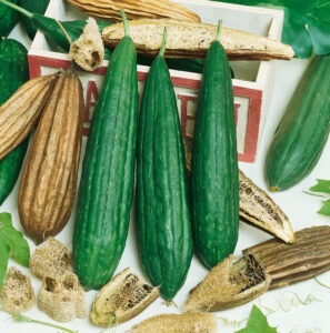 Three long, slender, and green gourds surrounded on the top, bottom, and sides by brown, sliced gourds that expose seeds and spongy material.