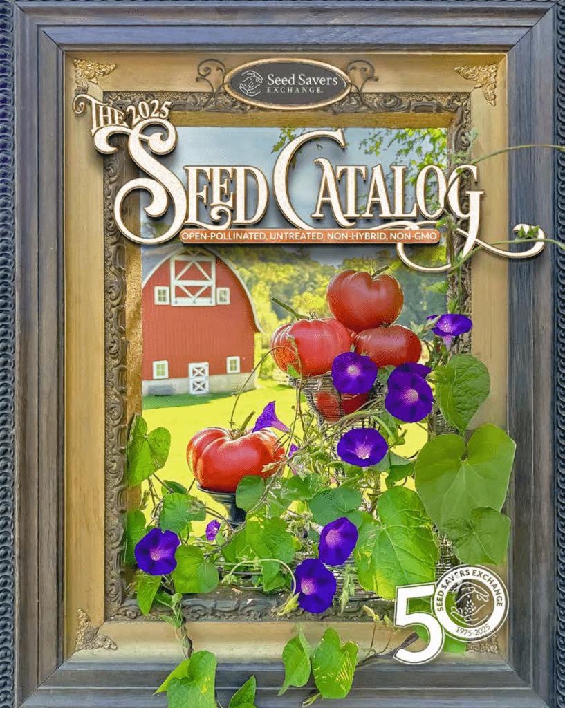 Cover of the Seed Savers Exchange Catalog with tomatoes, purple flowers, and a red barn inside a picture frame