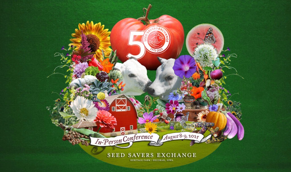 A collage of photos of flowers, vegetables, a barn, and two white cattle