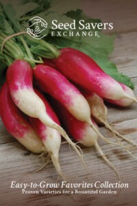 A bunch of pink radishes with white ends on a wood surface, with text overlay saying "Seed Savers Exchange, Easy-to-Grow Favorites Collection"