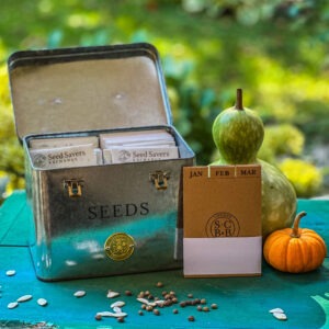 a steel box containing seed packets, with brown month dividers and two gourds on the right side