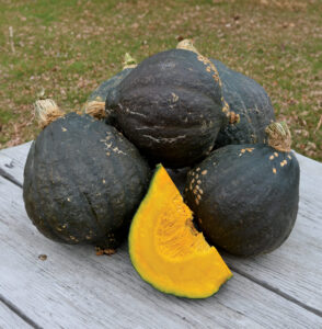 Several large round dark squash sit in a pile on a table, with an orange squash slice sitting in front of the pile.