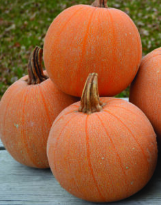 Four round orange pumpkins sit in a group on a table, with one stacked on top of the rest.