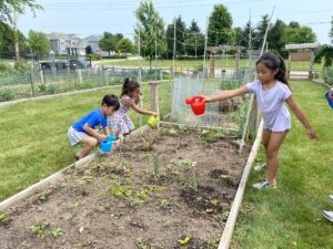 Three children water a garden bed with plants