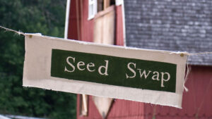 A banner saying Seed Swap hangs in front of a red barn