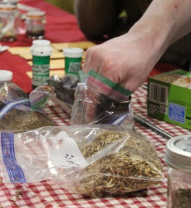 A hand reaches into a plastic bag of seeds on a table, with other plastic bags and containers of seeds on table around