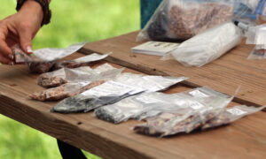 Many plastic bags of seeds resting on a wooden table