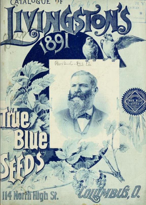 Text reads, "Livingston's 1891 True Blue Seeds." 