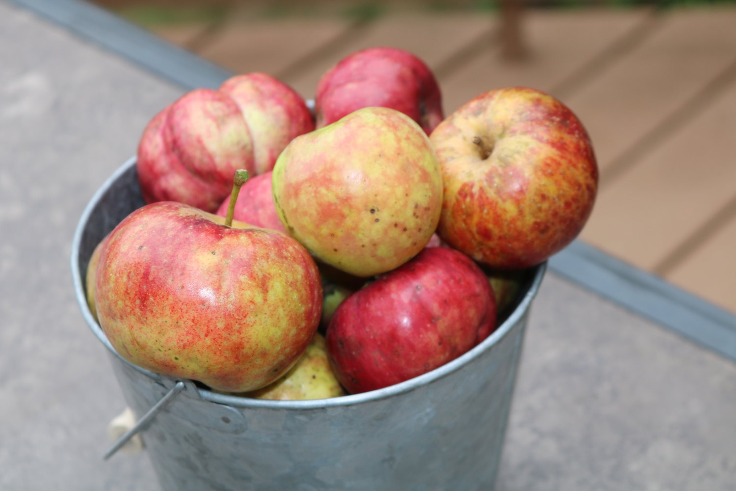 A bucket of apples.