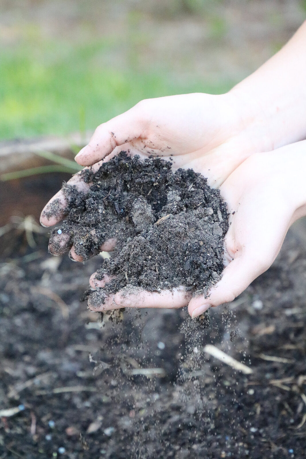 Hands holding soil.