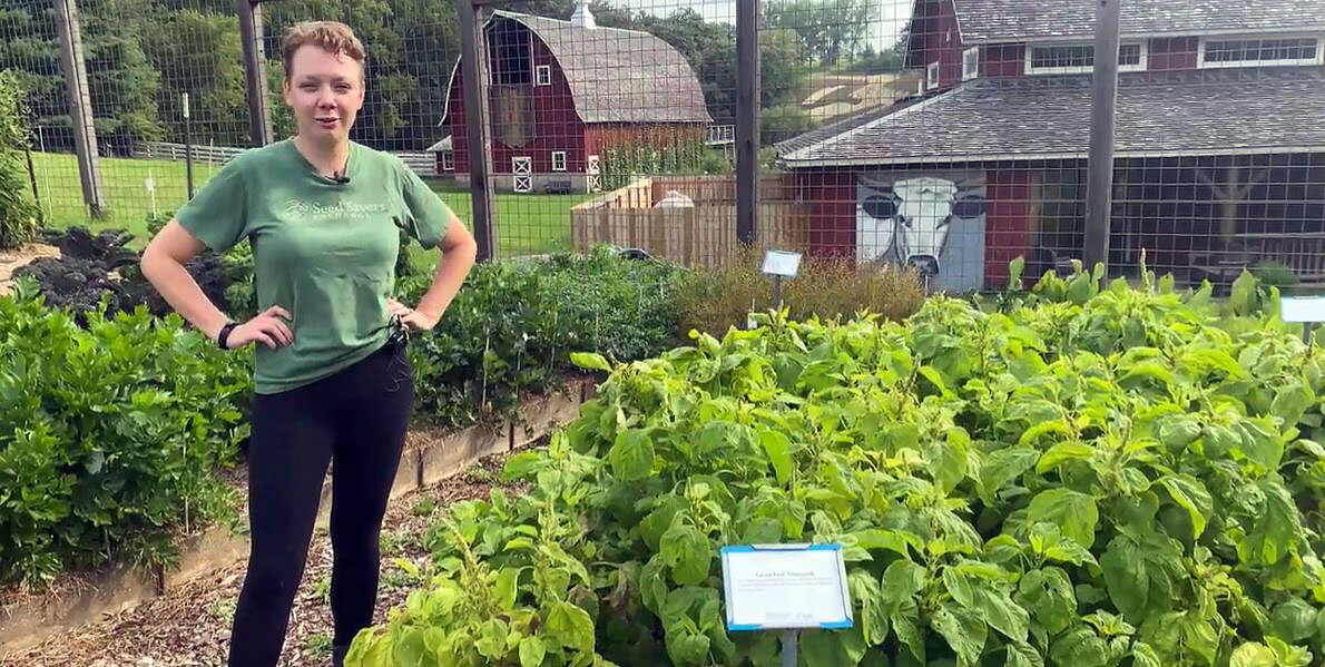 A person stands with their hands on their hips in a garden.