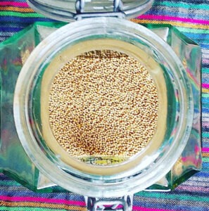 A small jar filled with tiny yellow dijon mustard seeds resting on a brightly-colored crop