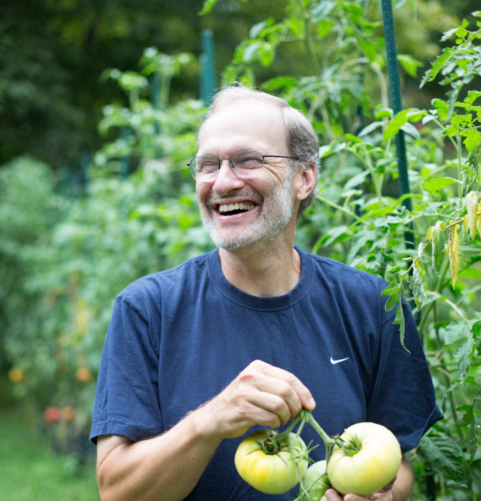 A man smiles and holds several large green tomatoes