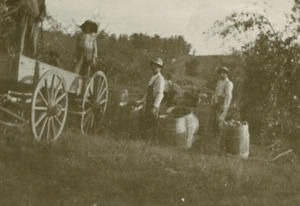 black-and_white photo of three men with bushels of apples and a woooden wagon