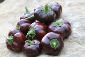 A pile of miniature deep red/brown peppers on a rock surface