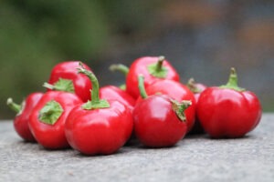 A pile of miniature round red peppers on a rock surface