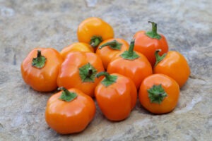 A pile of miniature yellow/orange round peppers on a rock surface