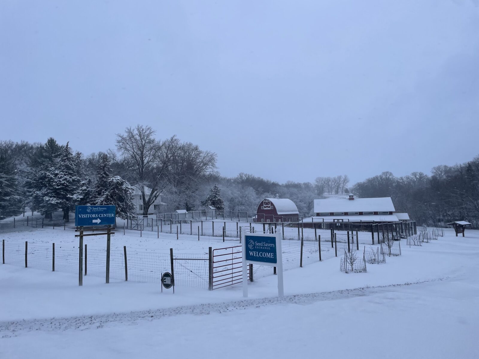 gardens, trees, and buildings topped with snow