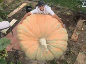 A man wraps his arms around a giant pumpkin resting on the ground