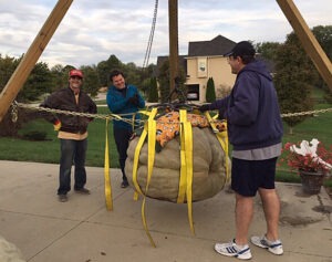 Three people stand around a giant pumpkin being lifted off the ground by a huge tripod with ropes