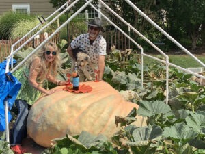 A man and a woman pose behind a giant pumpkin in a garden, using the pumpkin as a table for drinks